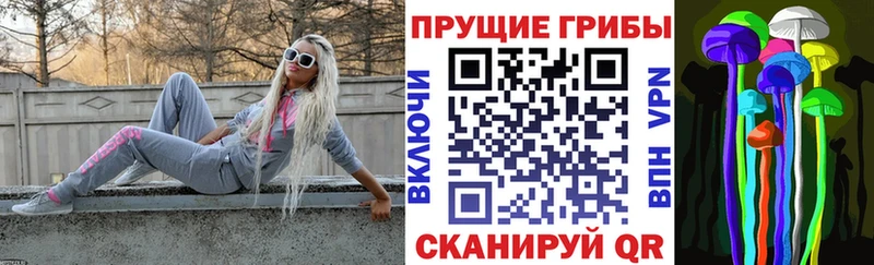 Галлюциногенные грибы Cubensis  блэк спрут рабочий сайт  Болхов  купить наркотик 