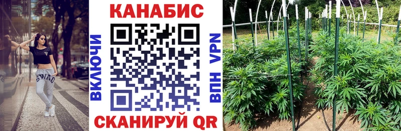 как найти наркотики  Болхов  Шишки марихуана VHQ 